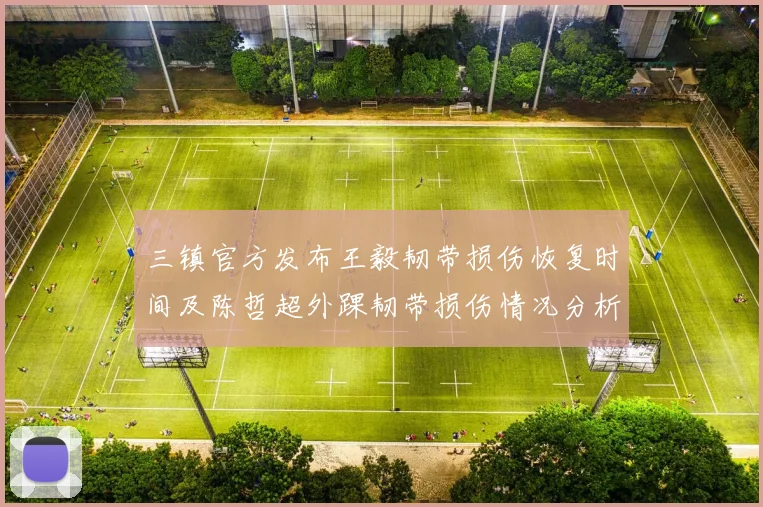 三镇官方发布王毅韧带损伤恢复时间及陈哲超外踝韧带损伤情况分析