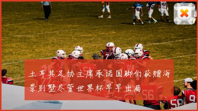 土耳其足协主席承诺国脚们获赠海景别墅尽管世界杯早早出局